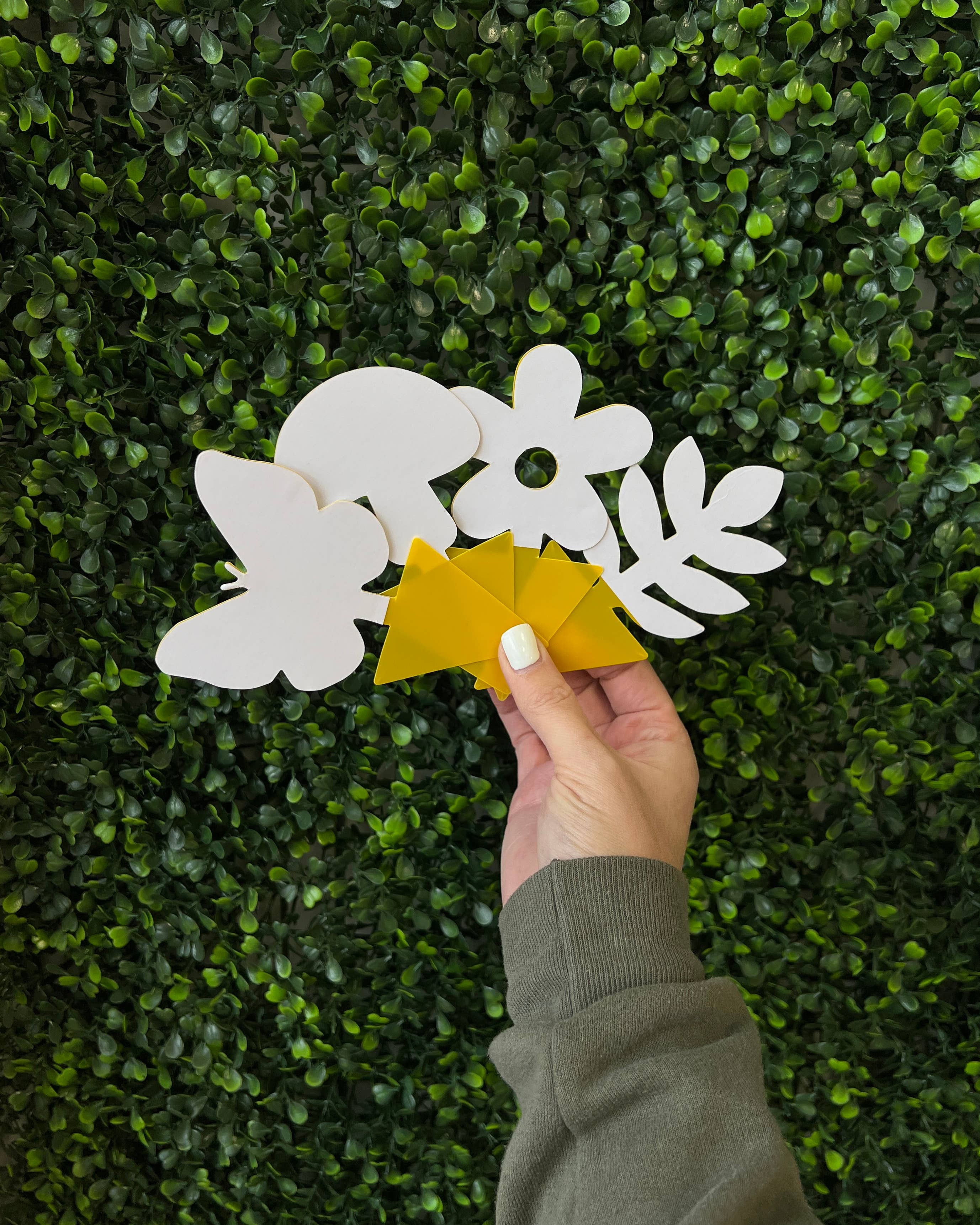 Packer Plant Co - Wholesale Garden Tool - Sticky Gnat Traps (20 ct) | Nature Shapes | Plant Care3