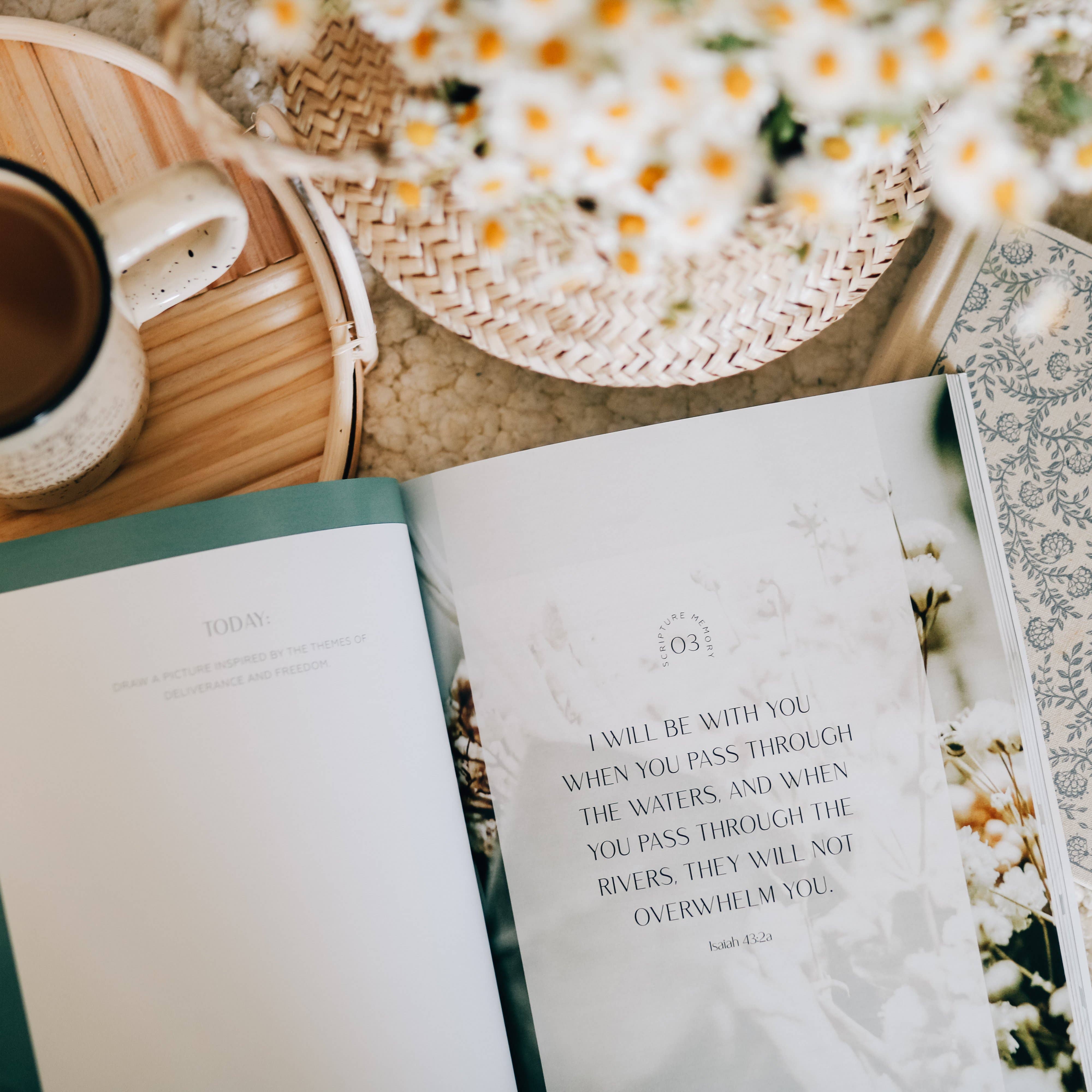 The Daily Grace Co - Wholesale Religion - Journey to Freedom | The Life of Moses11