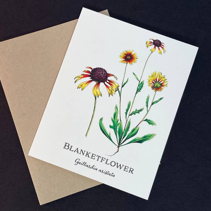Blanketflower Greeting Card for wholesale by Madrona Press