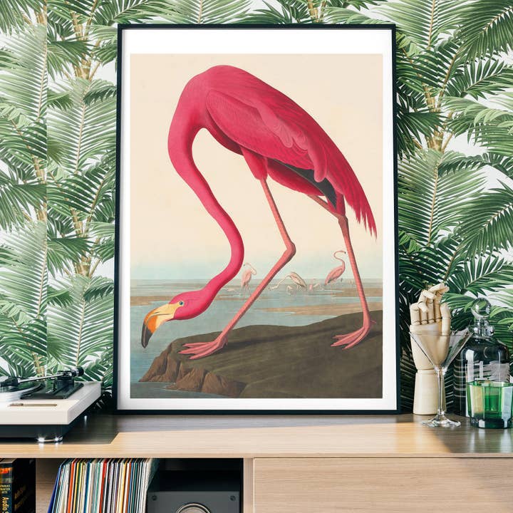Ink & Drop – Großhandel Kunstdruck – American Flamingo Vintage Alter Vogeldruck3