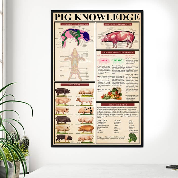 Alaridesign - Wholesale Poster - Pig Knowledge Poster, Animal Poster, Vintage Wall Decor