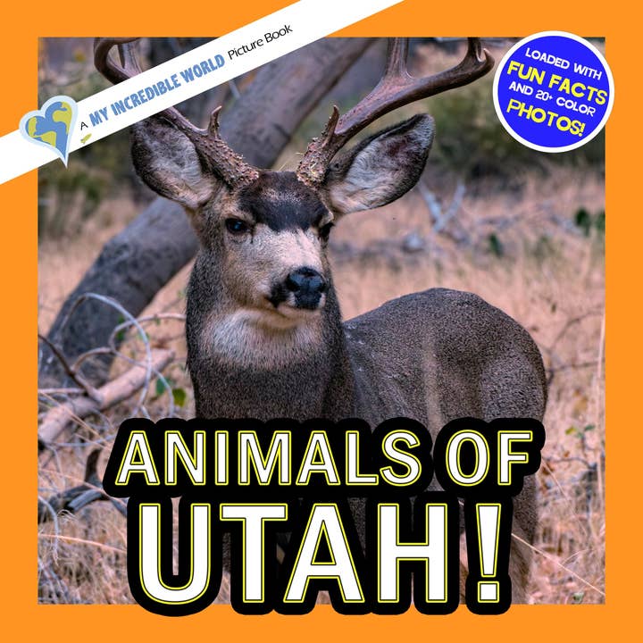 Animals of Utah! A My Incredible World Picture Book for Children for wholesale by My Incredible World