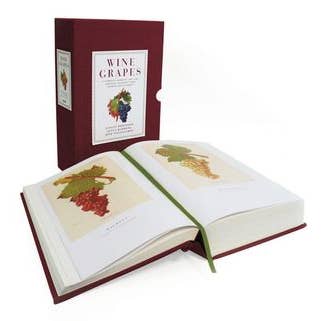 Wine Grapes : Jancis Robinson for wholesale by HarperCollins