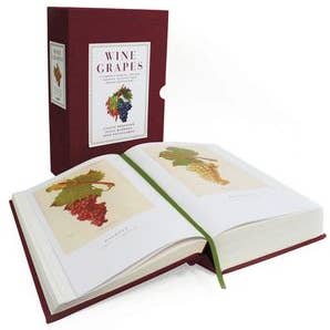 Wine Grapes : Jancis Robinson for wholesale by HarperCollins