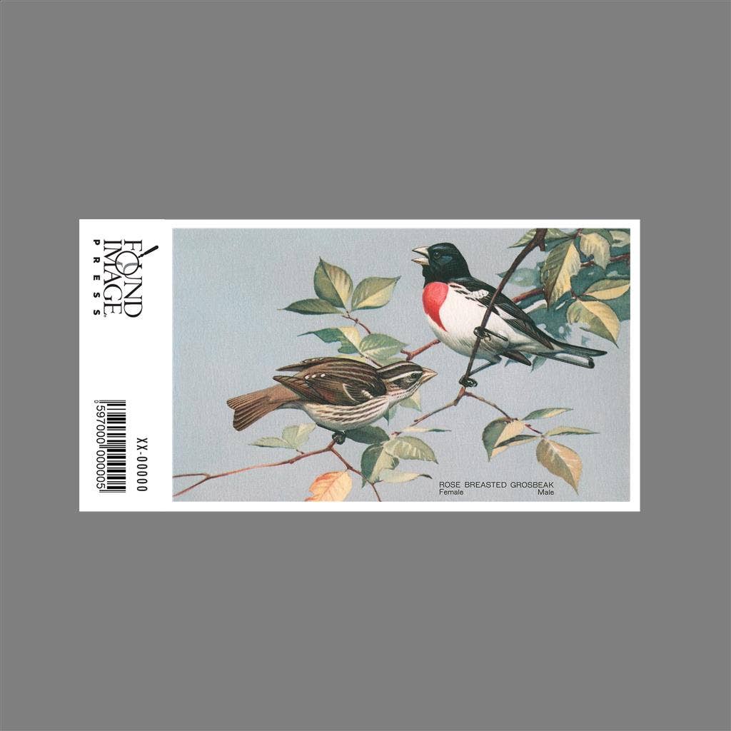 Found Image Press - Wholesale Sticker - Sticker BD-178 Rose-Breasted Grosbeaks1