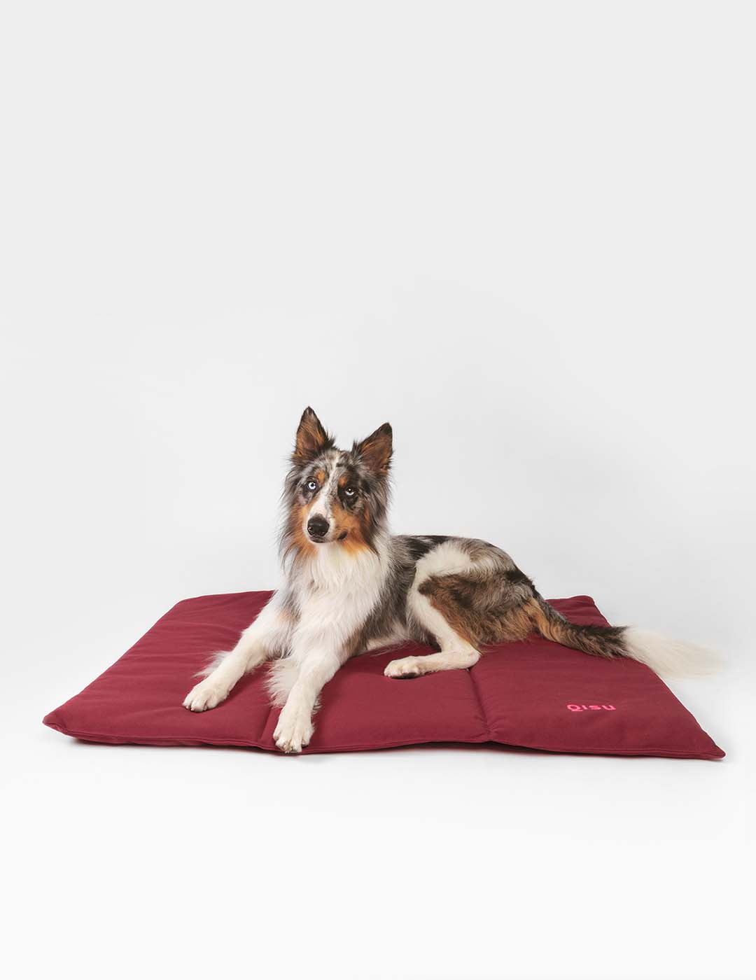Qisu - Wholesale Pet Bed - Dog - Dog bed | Nomad Bed11