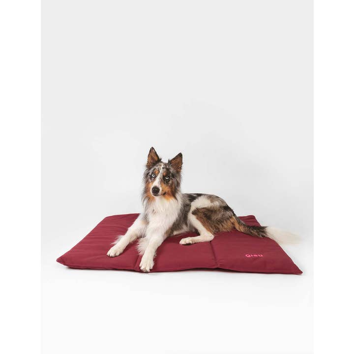 Qisu - Wholesale Pet Bed - Dog - Dog bed | Nomad Bed11