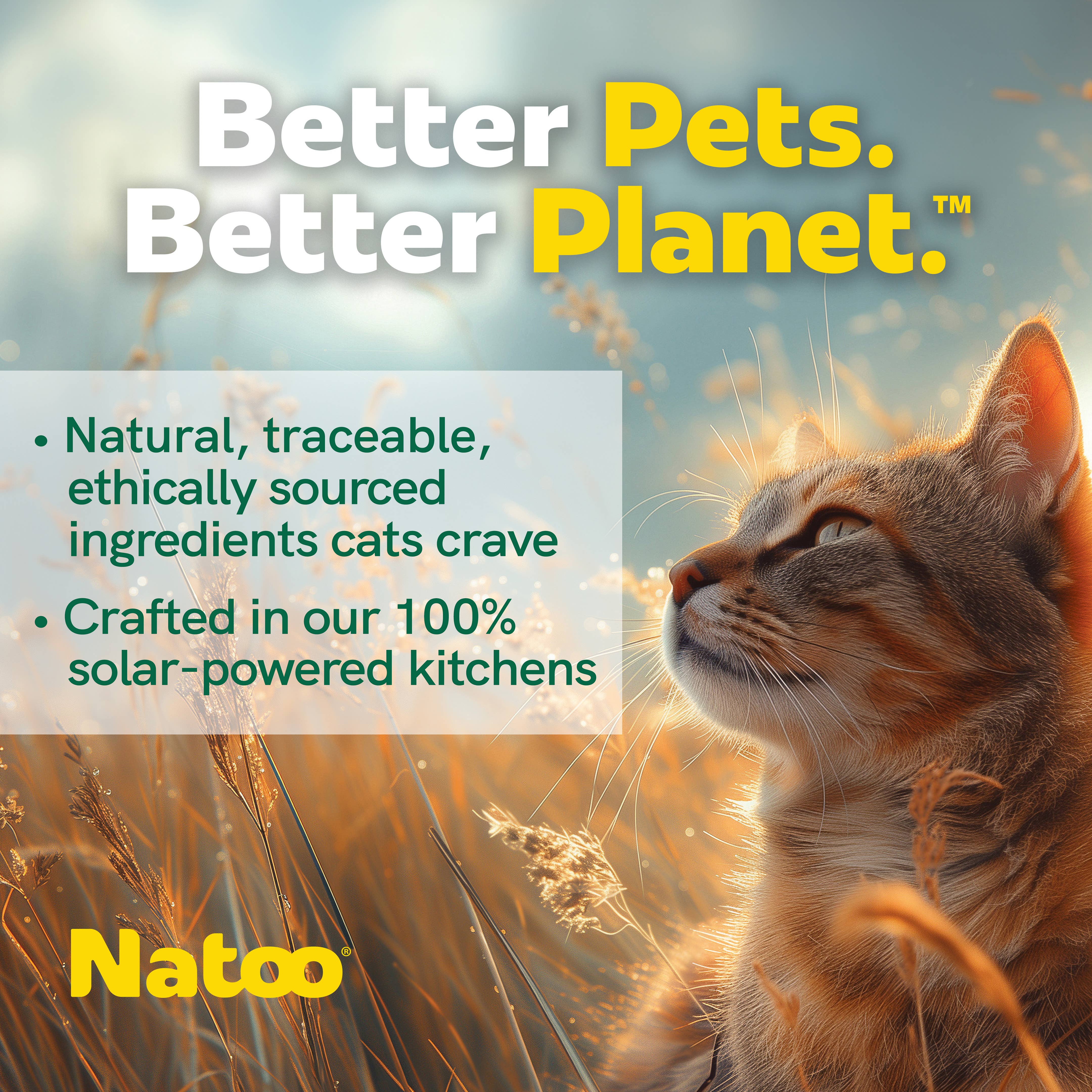 Natoo Petfoods - Wholesale Pet Food - Cat - Natoo Topper for Cats - Salmon with Pumpkin5