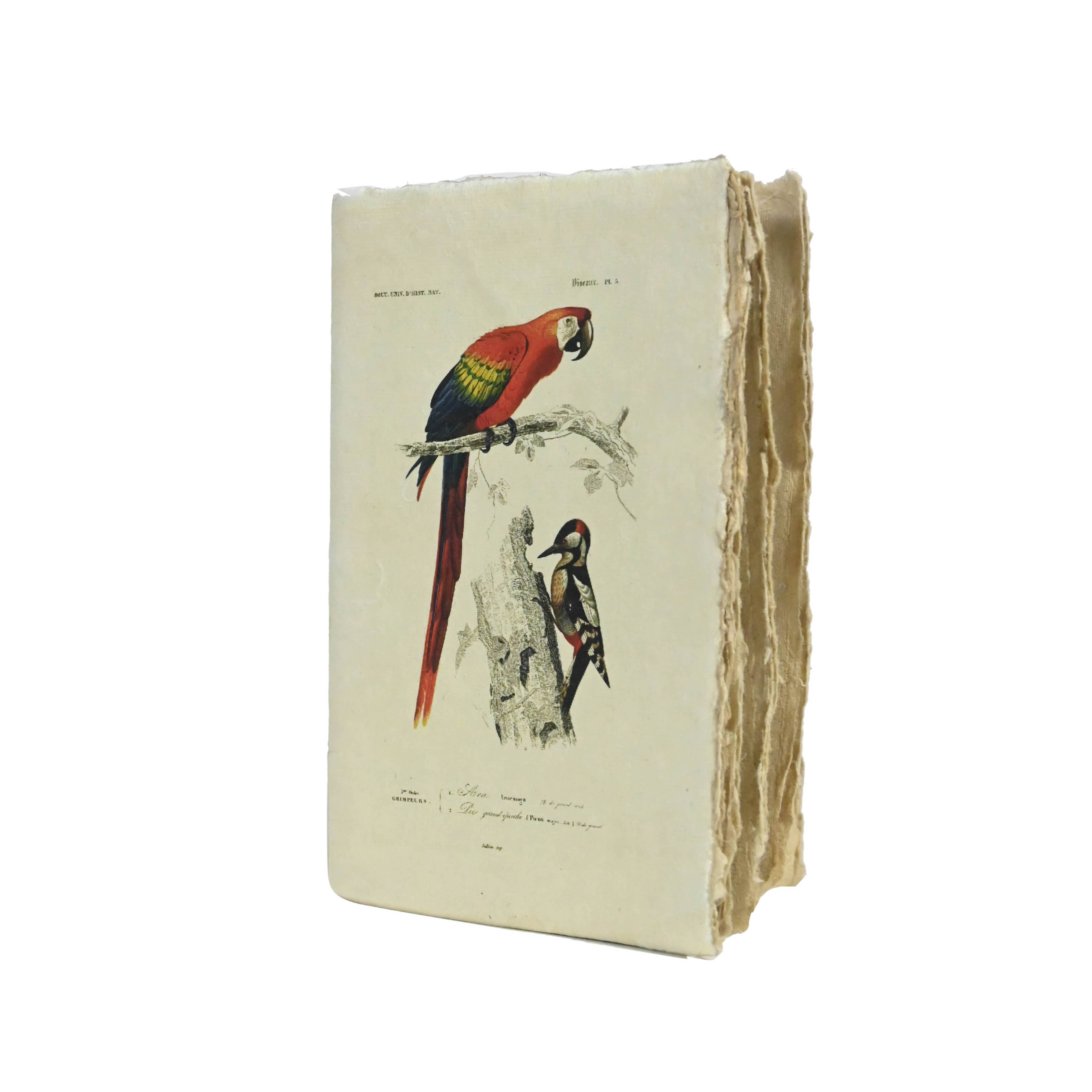 Supplement D'AM - Wholesale Notebook - Vintage Birds Parchment Paper Notebook3