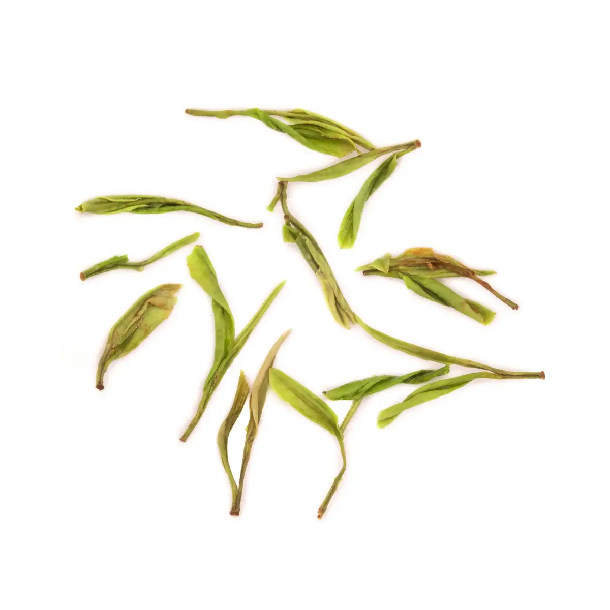 Moychay Barcelona - Wholesale Health/Detox Tea - WHITE TEA, Liping Bai Cha, 50g3