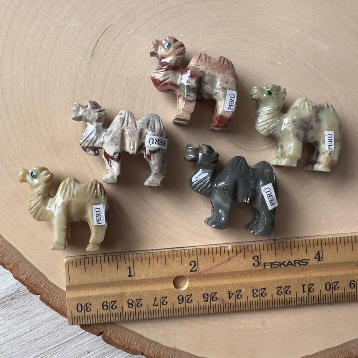 Pebble House - Wholesale Spiritual Stone/Crystal - Soapstone Animal Carving 30+ Varieties - Crystals & Stones64