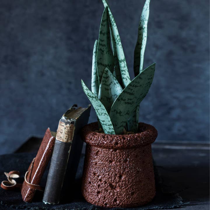 Abigail Ahern – wholesale Artificial plant – ARTIFICIAL SNAKE PLANT