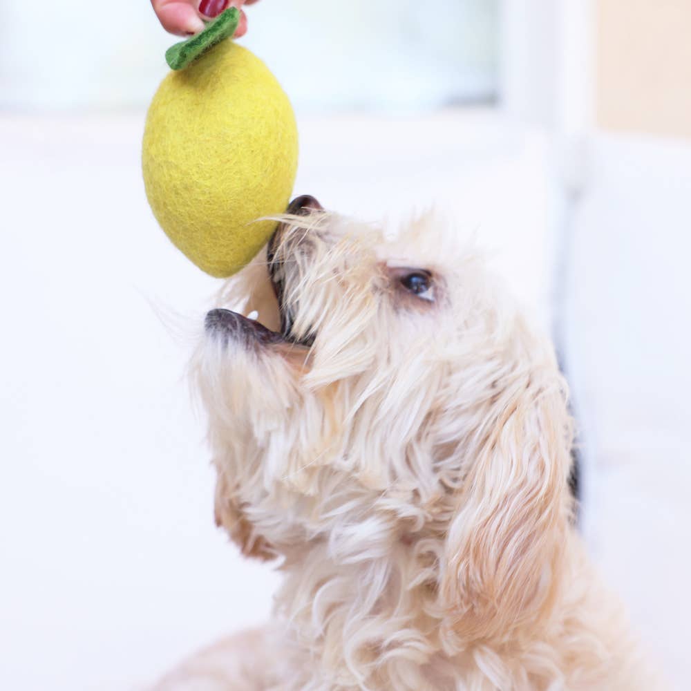 MODERNBEAST - Wholesale Pet Chew Toy - Dog - WOOL LEMON1