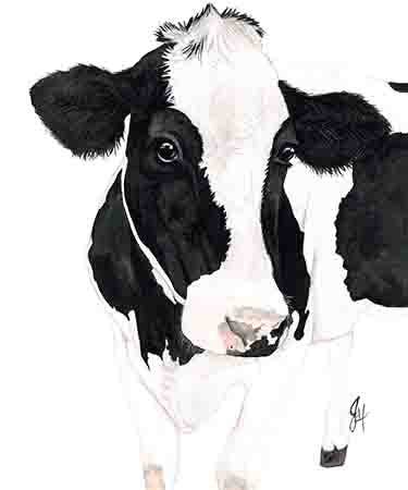 DOLLY ESTELLE - Wholesale Cutting Board - Charcuterie  Cutting Boards - Mix & Match65