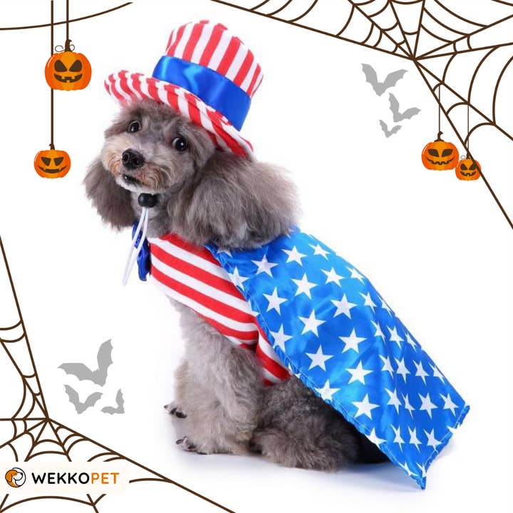 USA Girls Uncle Sam Dress (SINGLE) Halloween MSL91 for wholesale by WEKKOPET