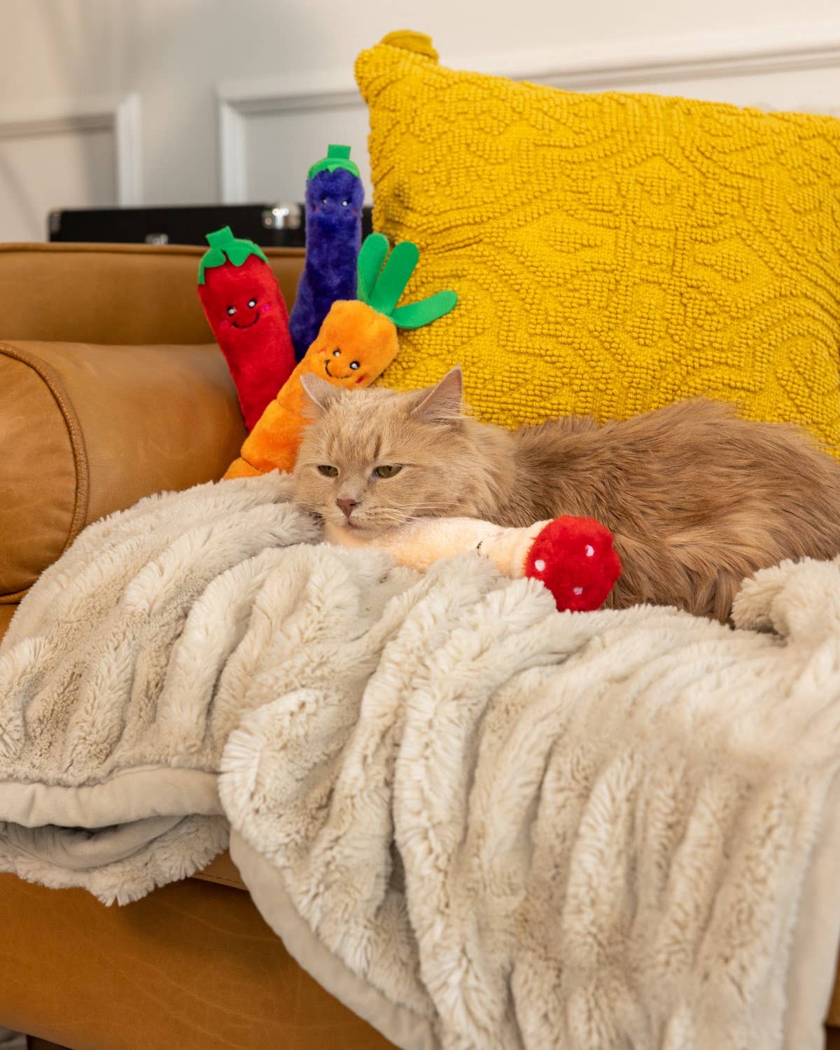 Pet Palette Distribution - Wholesale Pet Toy - Cat - ZippyClaws Kickerz - Pepper3