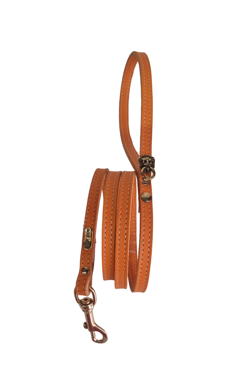 jmc creadog - Wholesale Pet Leash - Dog - 51001-10 SUPER JENNY LEASH6