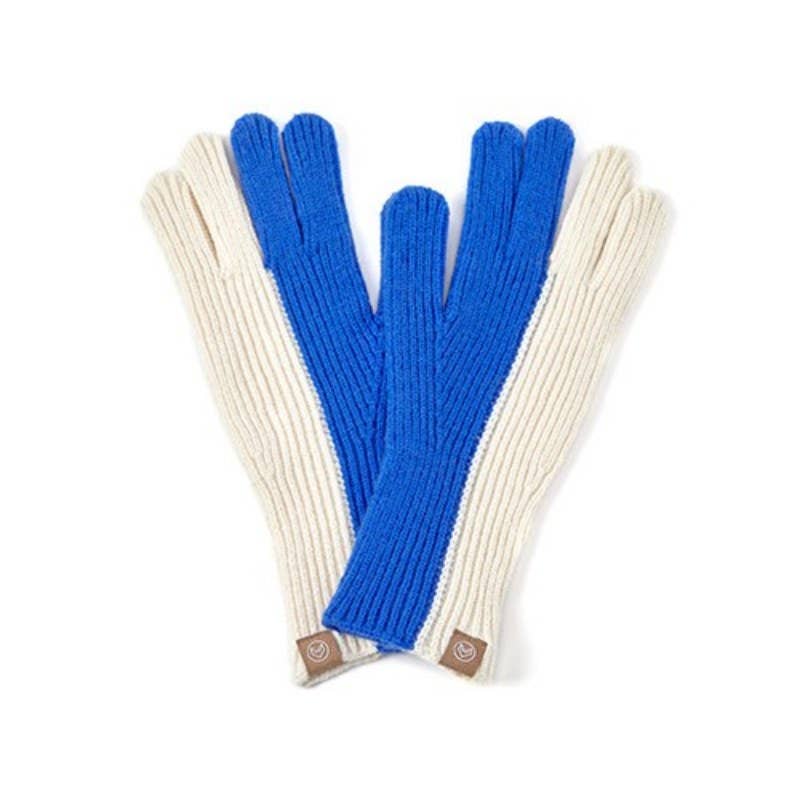 Dipped Shop - Wholesale Gloves - Women's - Color Block Simple Ribbed Knit Gloves DPG28103