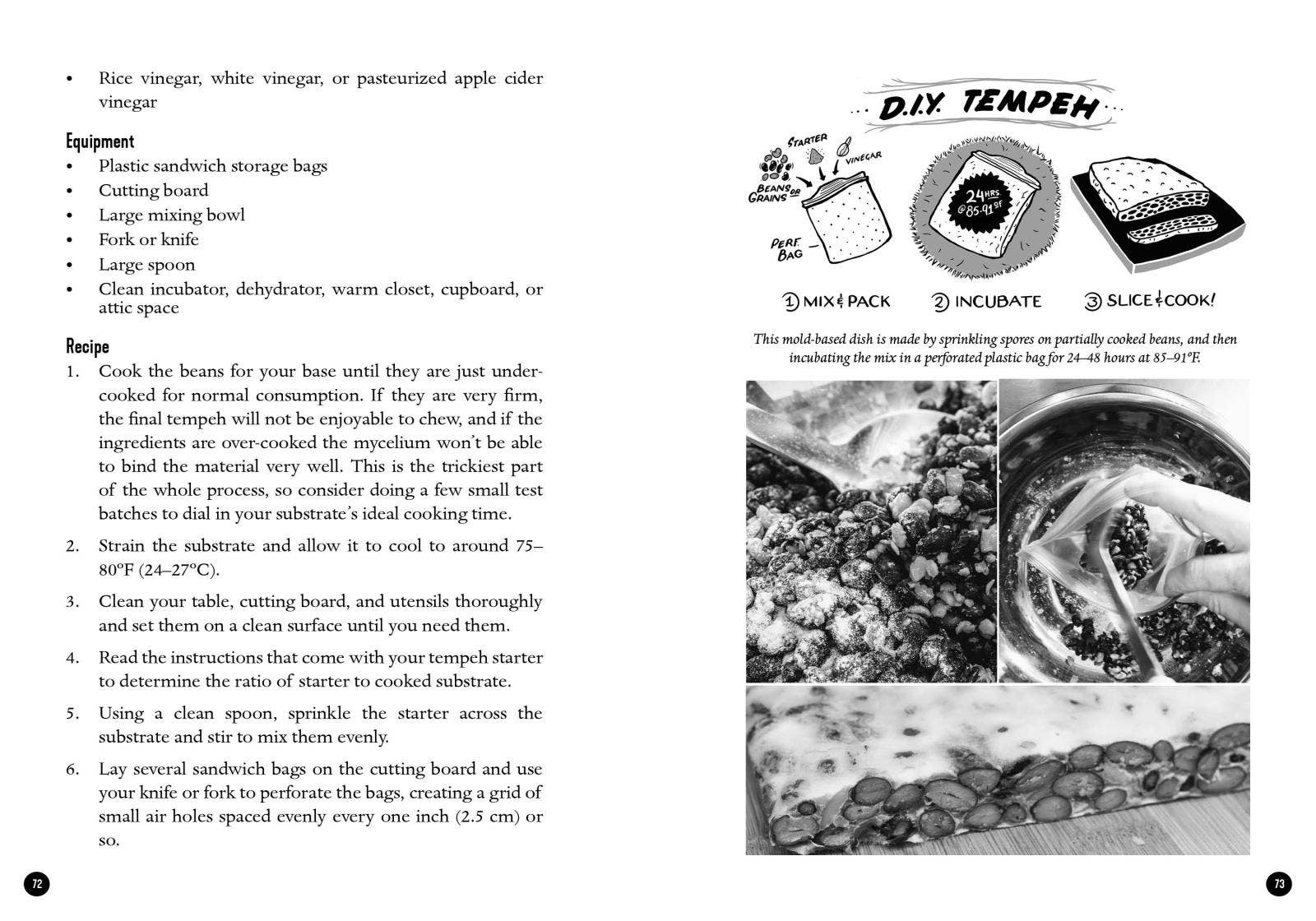 Microcosm Publishing & Distribution – wholesale Natur- och friluftsbok – Mykokulturell revolution: Att förändra vår värld med svampar6