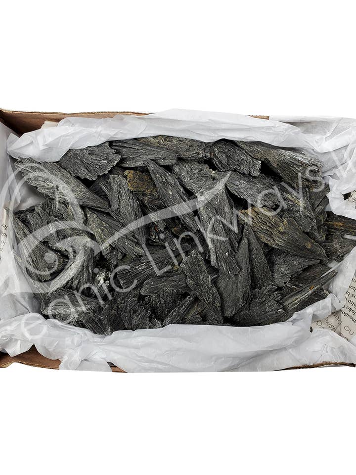 SPECIMEN - KYANITE, BLACK BROOM SHAPE 2-6" (KG) for wholesale by Oceanic Linkways Inc