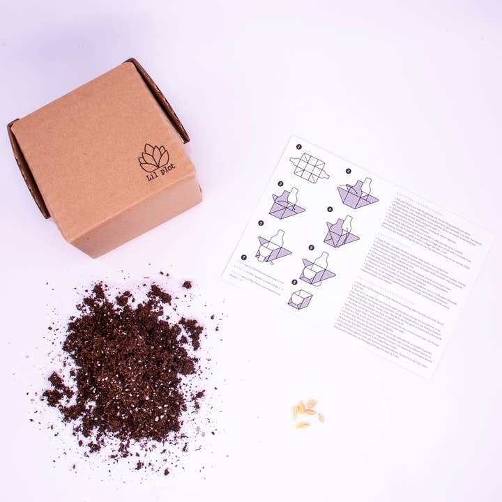 Lil Plot - Vendita all'ingrosso Piante vive - Kit per Coltivare un Albero di Limoni2