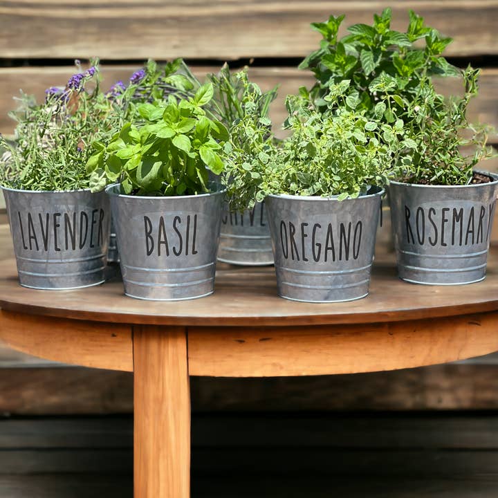 The Savvy Spade - Wholesale Plant Pot - Lavender Farmhouse Herb Bucket Planter