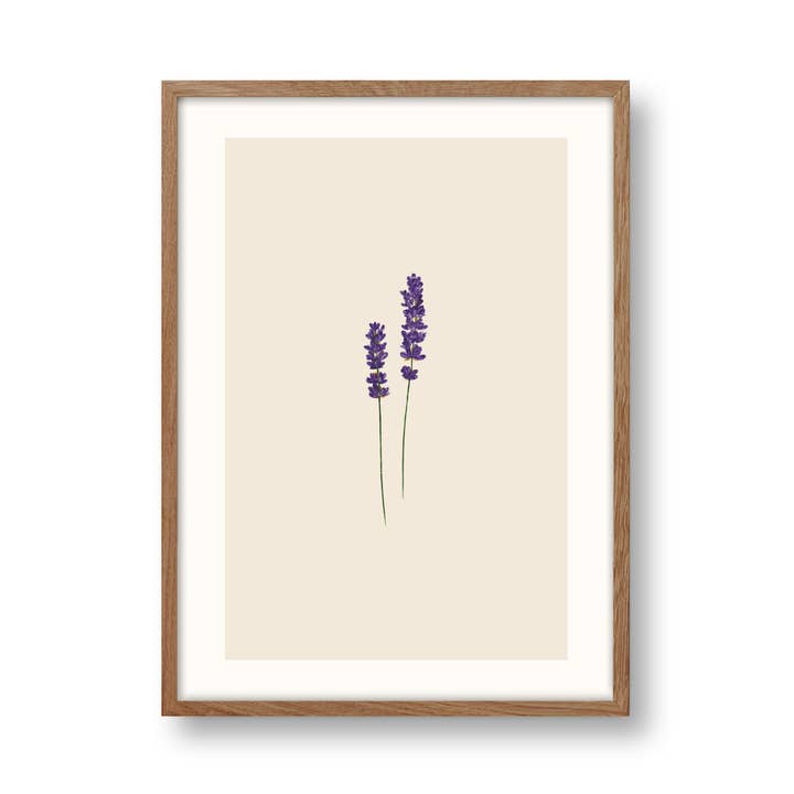 Lavanda | Stampa d'arte per la vendita all'ingrosso da parte di SANS.design