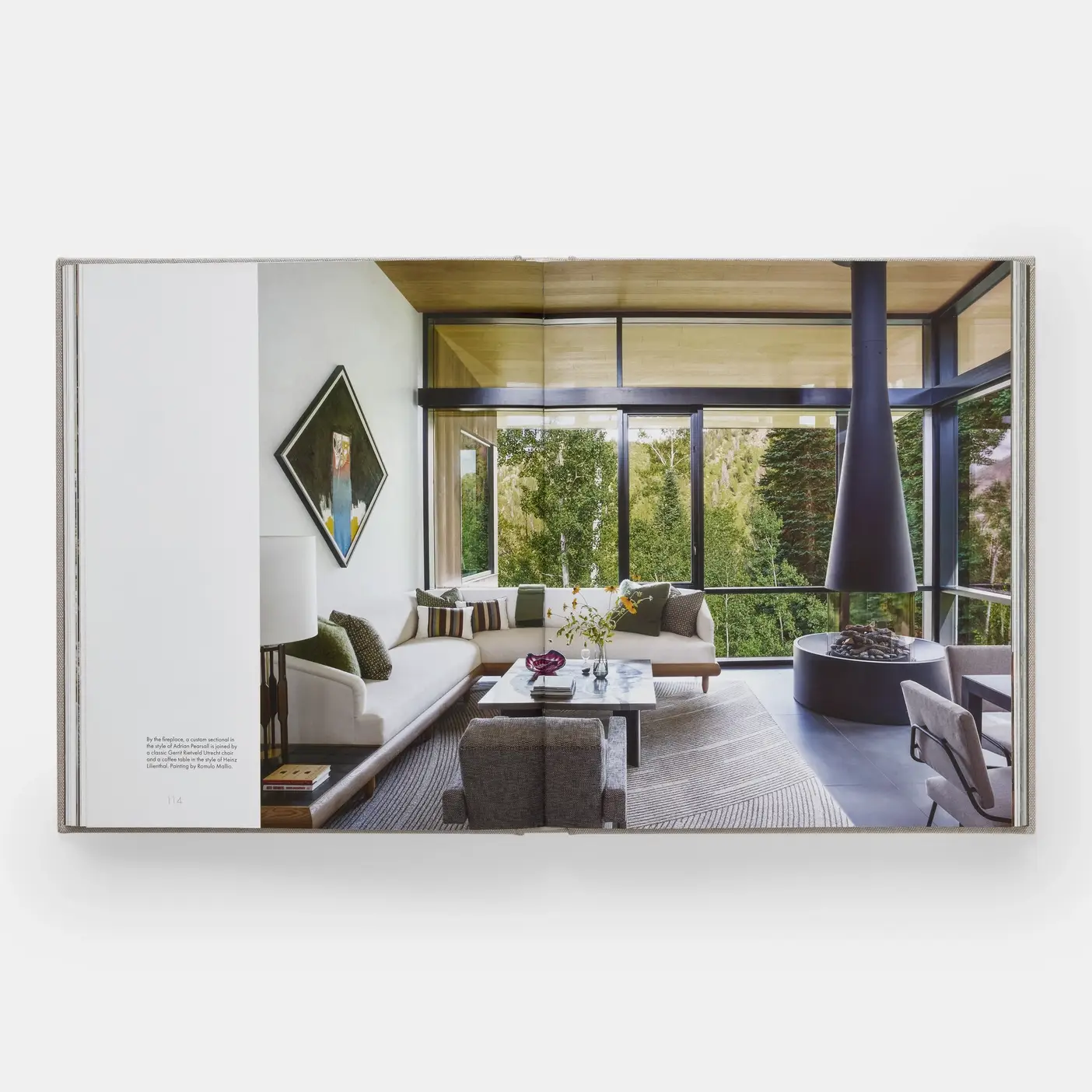 Phaidon - Wholesale Home & Garden - David Kleinberg: Interiors2