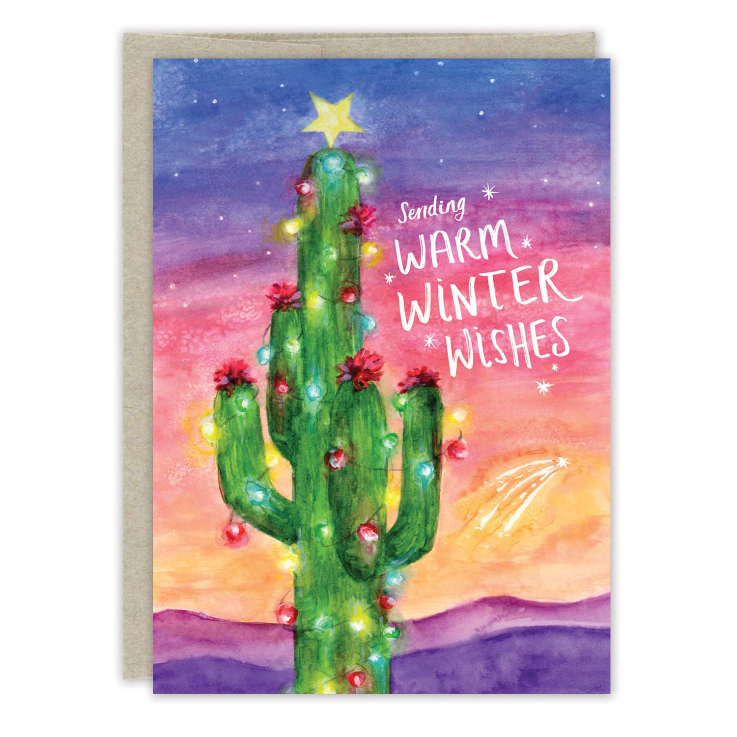Biely & Shoaf - Wholesale Christmas Card - Cactus Warm Wishes Boxed Holiday Cards - Set of 101