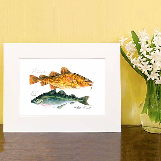 Codling and Saithe Print for wholesale by Wildlife By Mouse