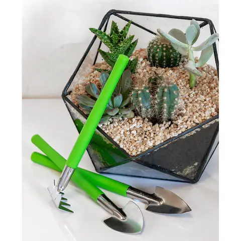 Burgon and Ball – wholesale Garden tool – Houseplant & Terrarium Tool Set5