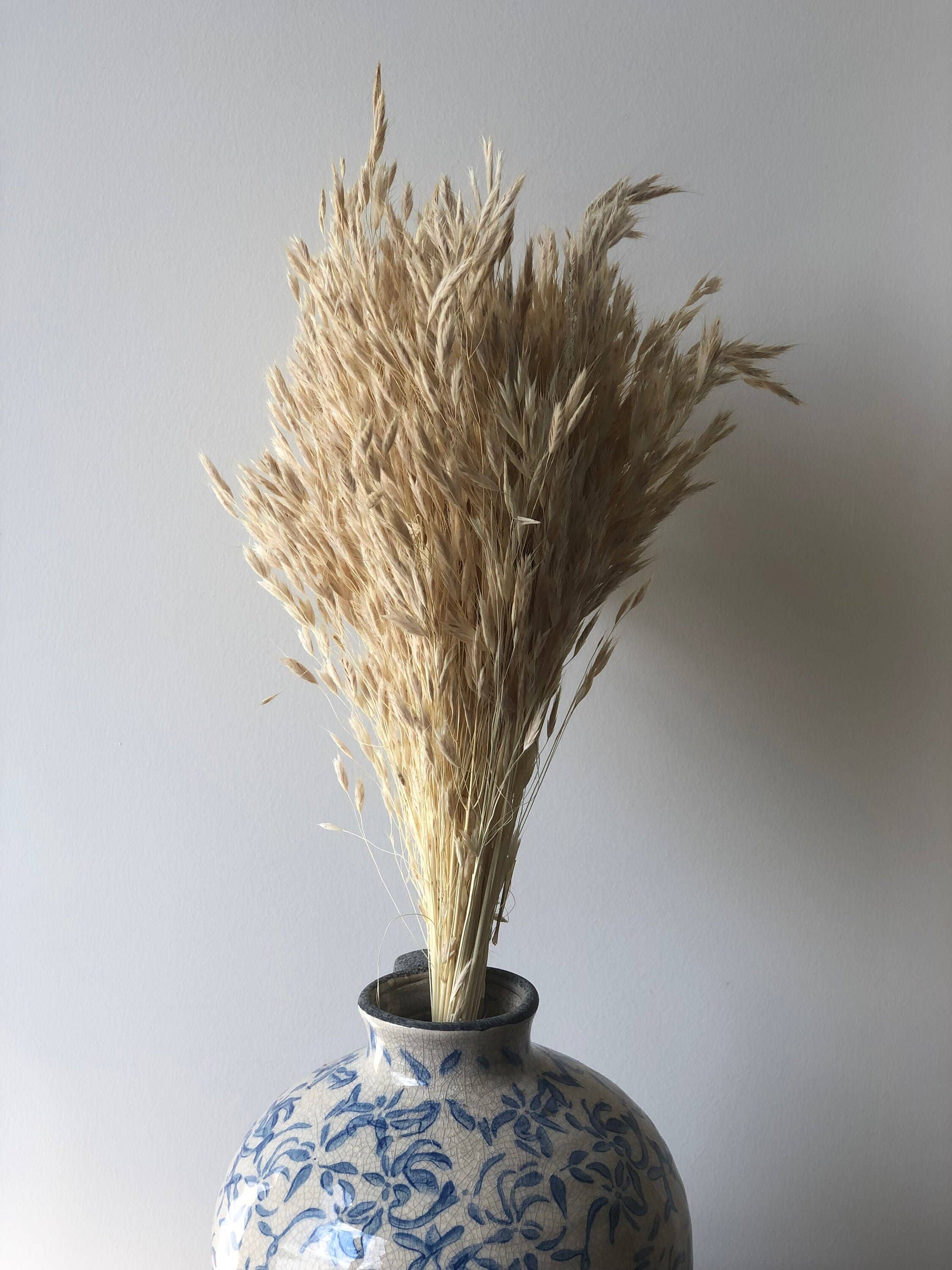 MY BOUQUETS - Wholesale Gedroogde/geperste bloemen - Gedroogd pluim riet, ivoorpluim, gedroogde haverbos, ivoorgras, bloemstuk gras, doe-het-zelf bruiloft, doe-het-zelf bloemstukken, vulbloemen2