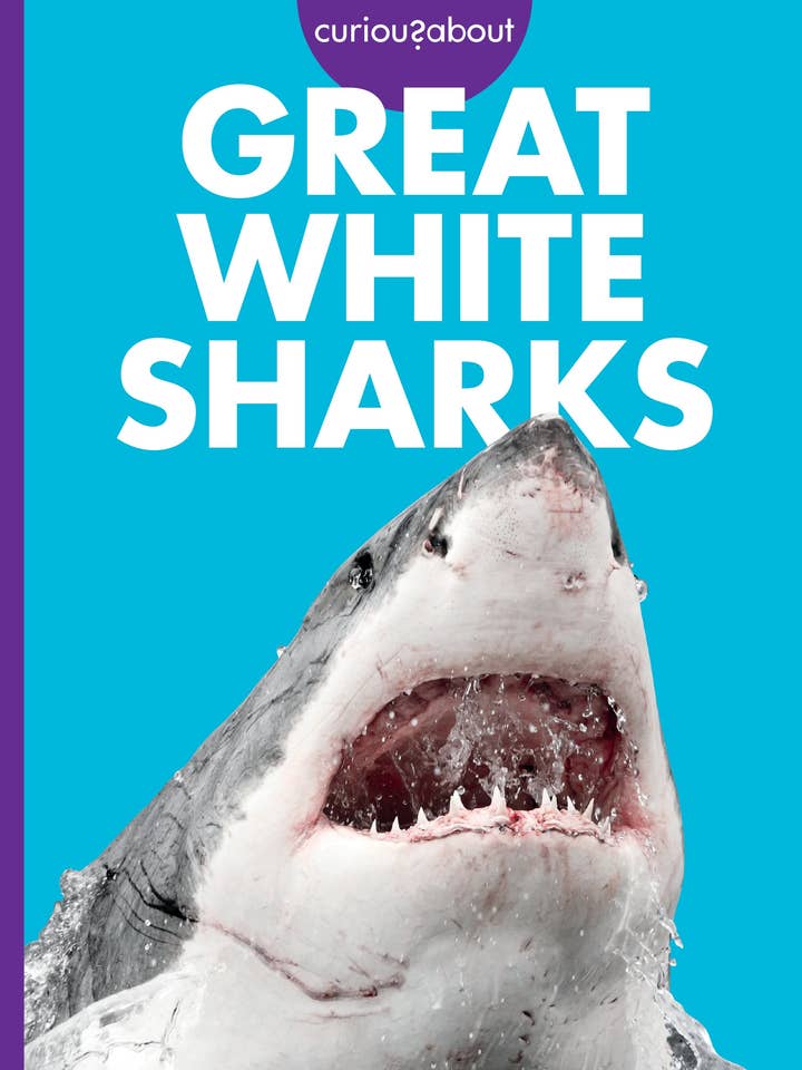 Curieux à propos des grands requins blancs pour la vente par Amicus Publishing