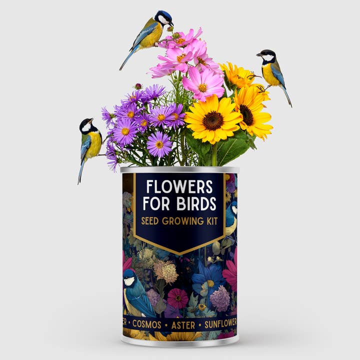 Alphabet Gifts – wholesale Plant seeds – Flowers for Birds Seed Growing Kit, Bird Lover Gift