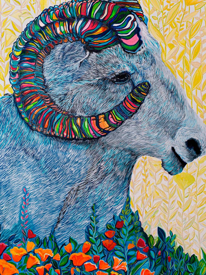 RAINBOW RAM for wholesale by Sevigny Studio
