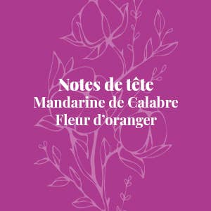 Compagnie Européenne des Parfums - Wholesale Perfume/Eau de Toilette - Mademoiselle Arbel in New York - Eau de Toilette 100ml2