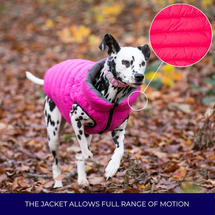 Hugo & Hudson - Wholesale Hondenjack - Hond - Draaibare gewatteerde hondenjas - roze en grijs4