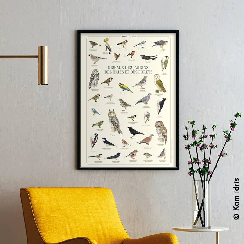 Longue-vue - Wholesale Poster - Birds of gardens, hedges and forests - Poster1