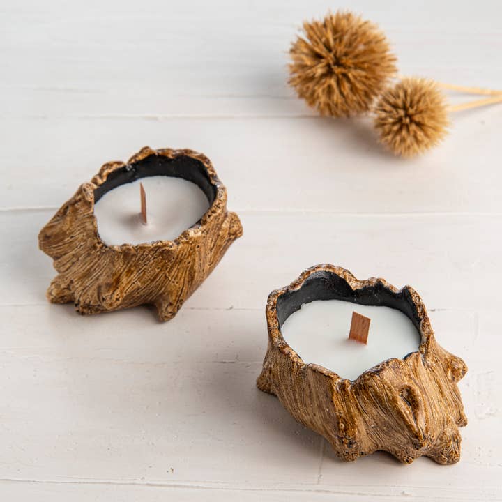 Troy Touch - Wholesale Jar/filled candle - Tree Root Candle Vegan Organic Soy Wax1