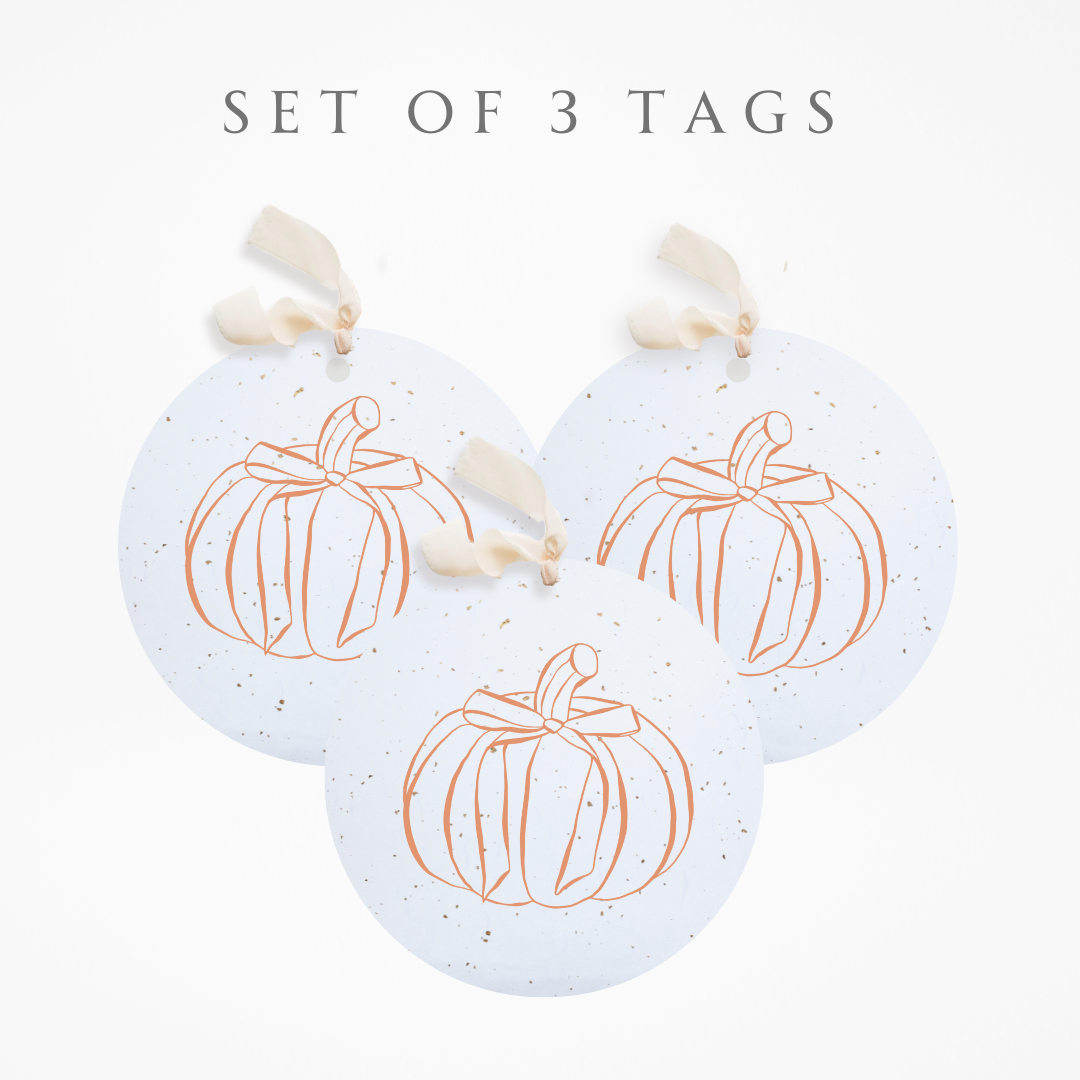 Paper Baristas – wholesale Ornament set – Plantable Seed Gift Tags / Ornaments Set of 3 FALL PUMPKIN1