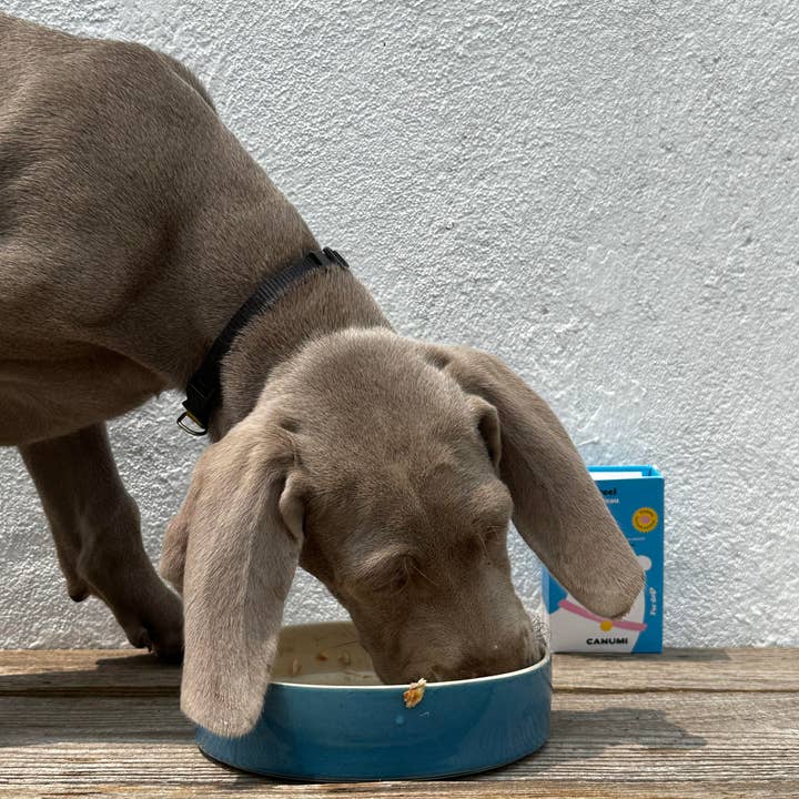 Canumi – Großhandel Tiernahrung – Hund – Wilde Makrelenfilets an der Atlantikküste7