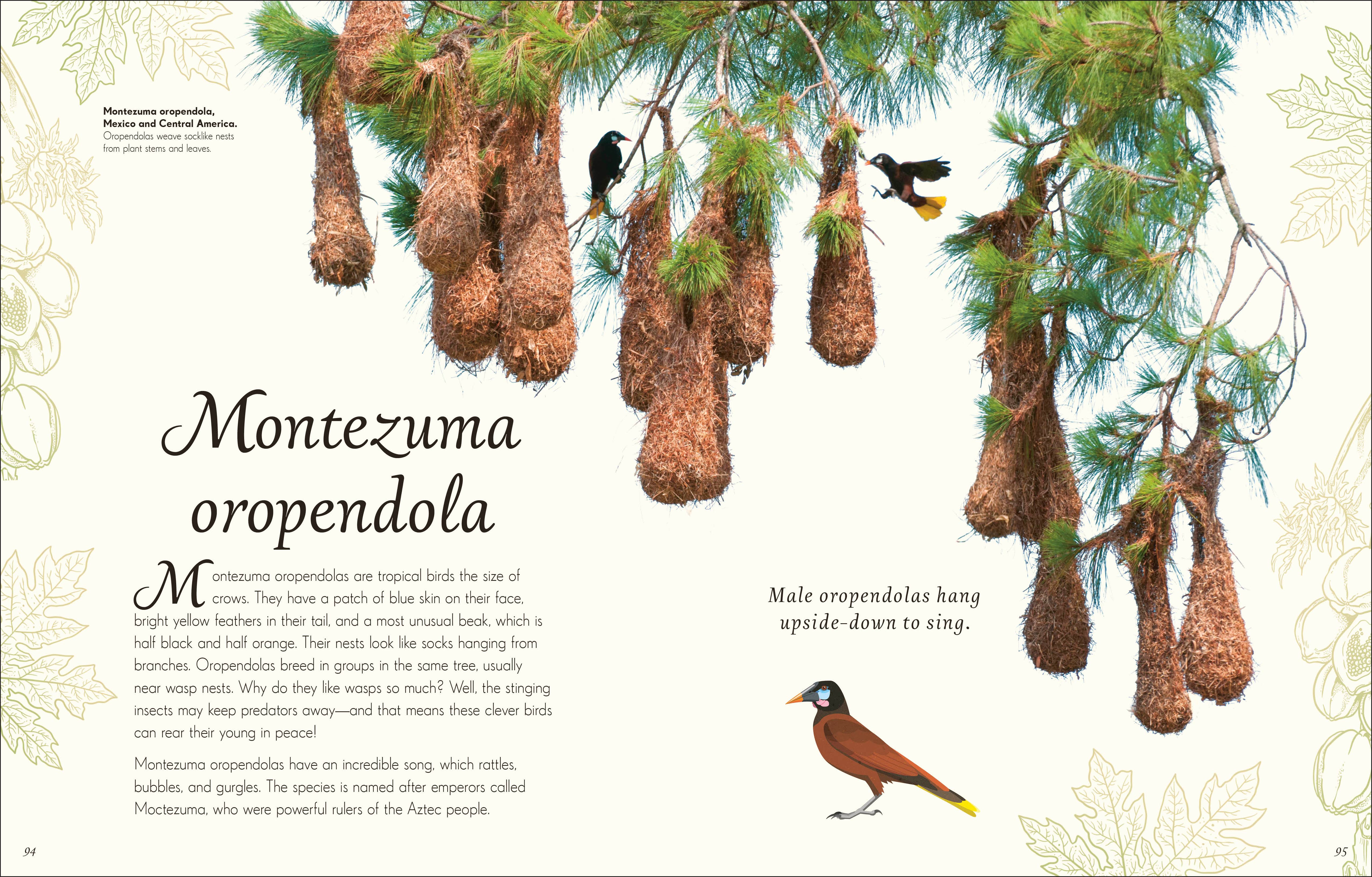 Penguin Random House LLC - Wholesale Nature & Outdoors Book - Anthology Birds6