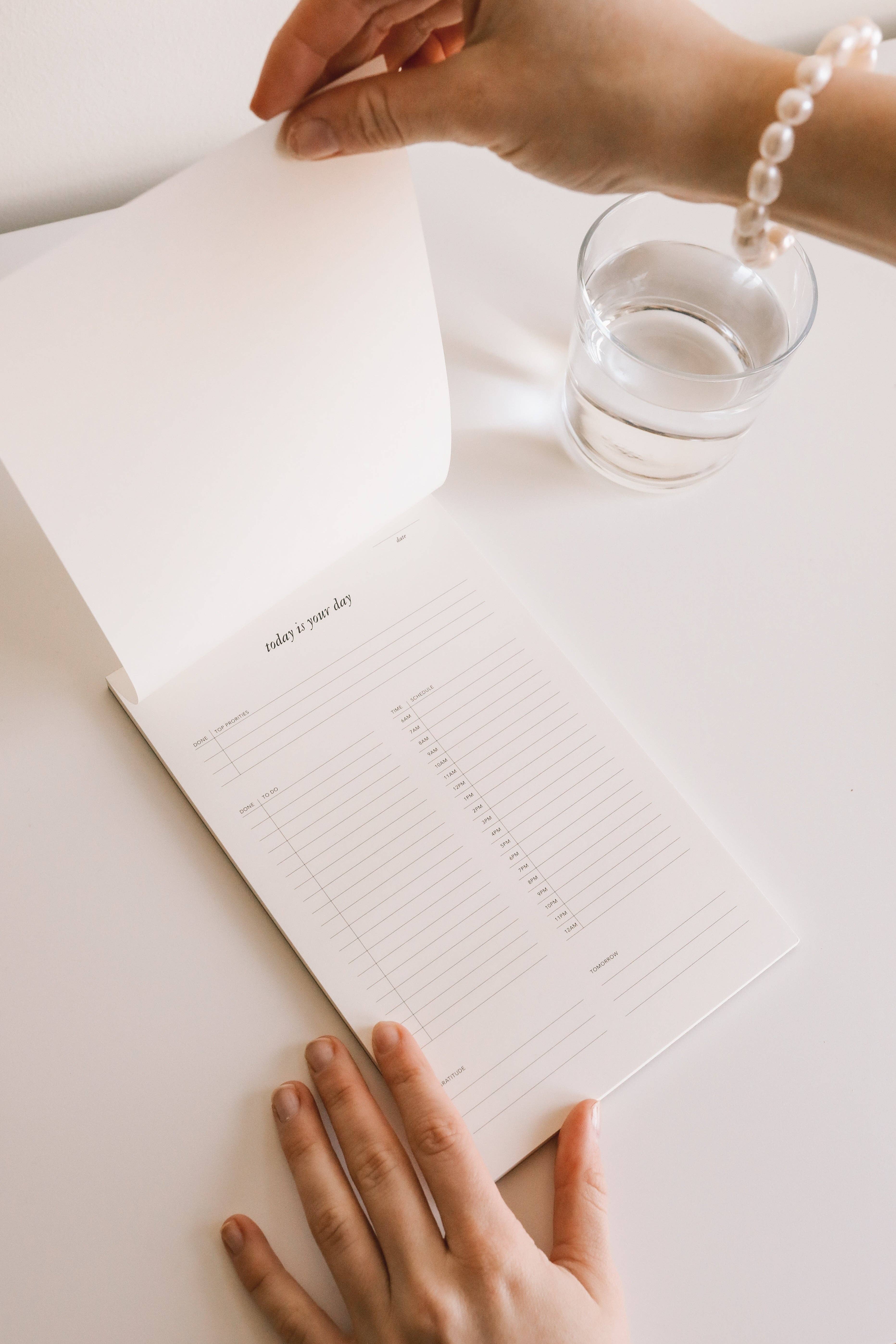 Strawberry Goose - Wholesale Kladblok - Today is Your Day dagelijkse notitieblok1