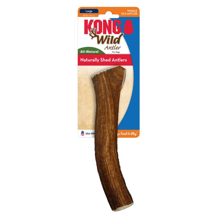 KONG® Wild Antler Whole Large for wholesale by Pet Palette Distribution