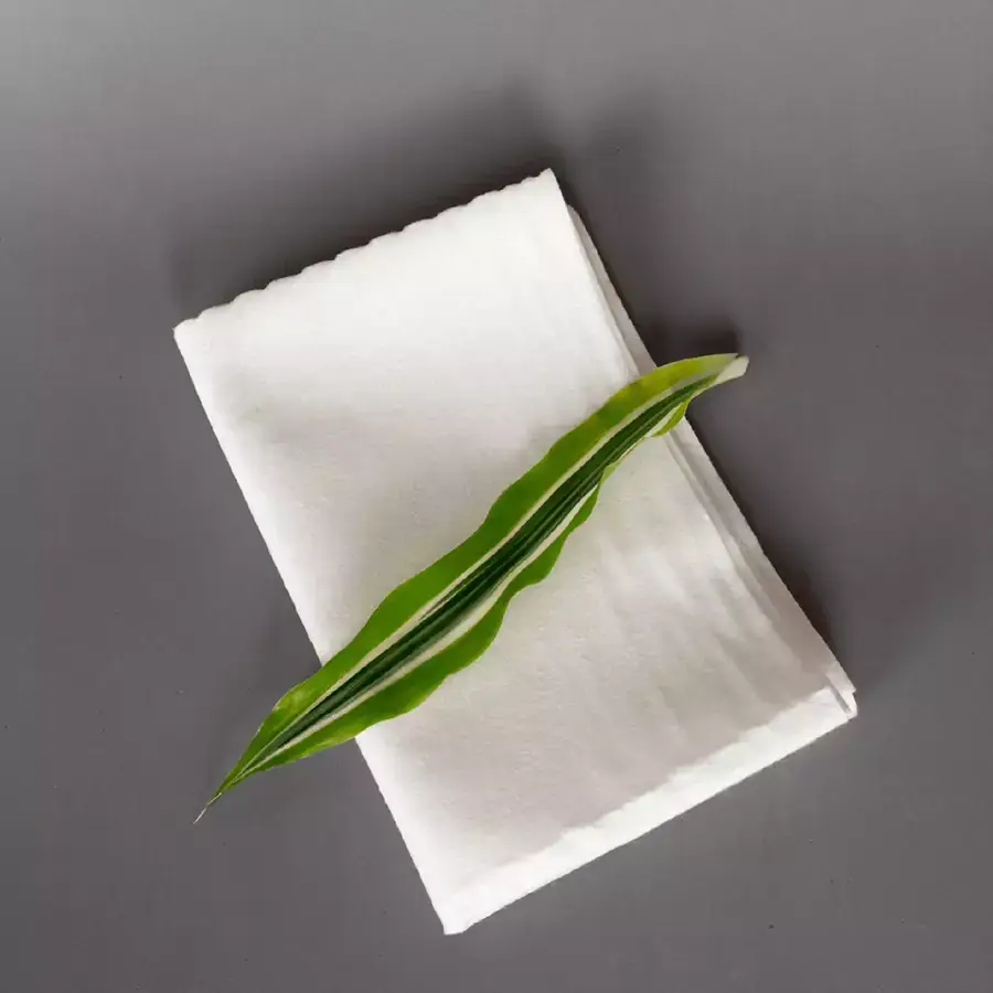Natury Greencare - Wholesale Cleaning Cloth - Natury Bamboo Towel Roll 110g3