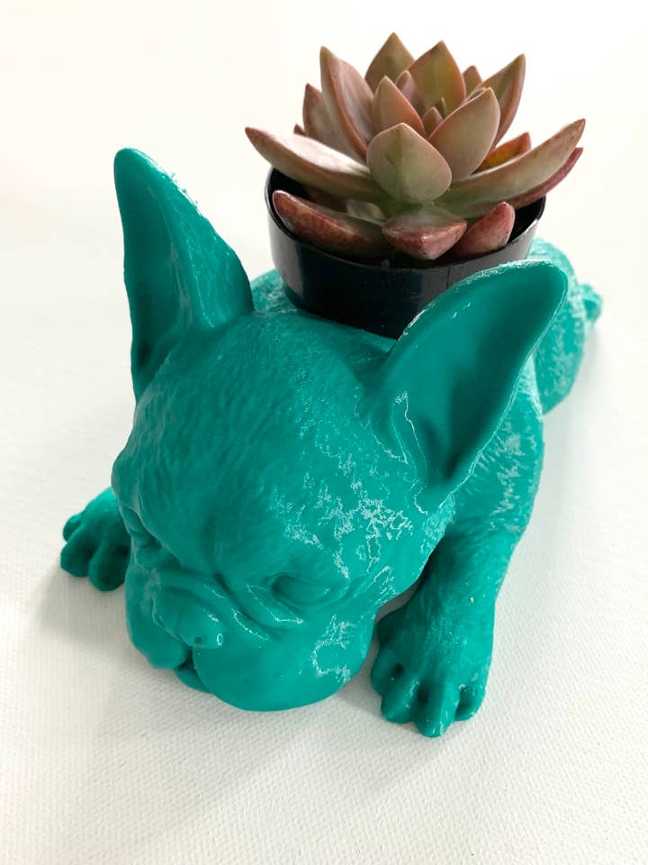 Jardinière de bouledogue français avec plante succulente | Vert pour la vente par CALIDOG