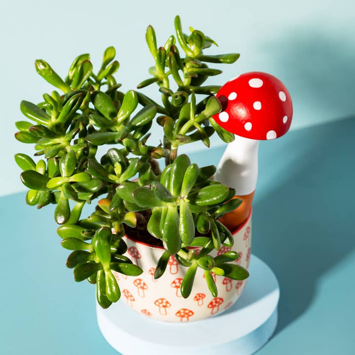 Sass & Belle Europe - Wholesale Plant Mister - Mushroom Shaped Watering Spike1