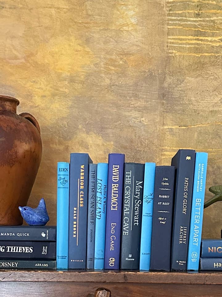 Books by Color: Blue for wholesale by Angela Holman Art