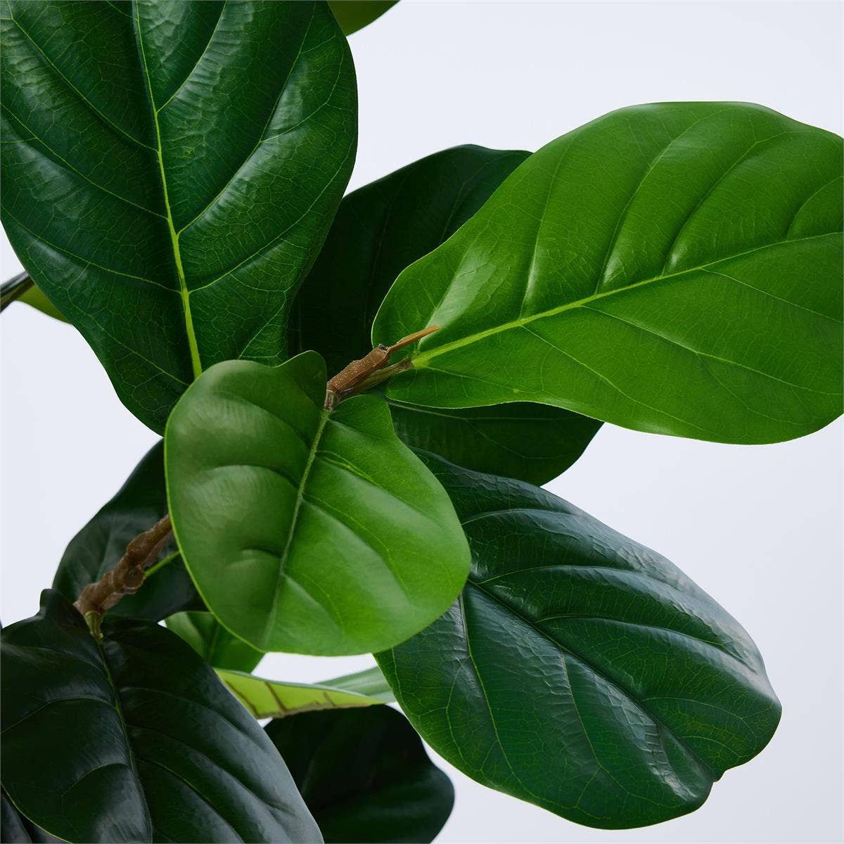 Truu Design - Wholesale Artificial Plant - Truu Design Artificial Fiddle Leaf Fig Potted Plant, 2 Sizes5