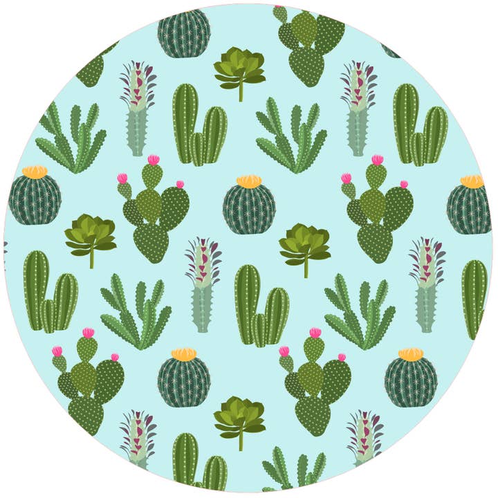 RR Desert Wonder for wholesale by Andreas